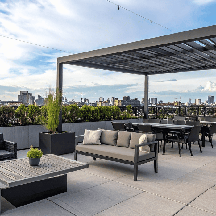 Pergola Buying Guide