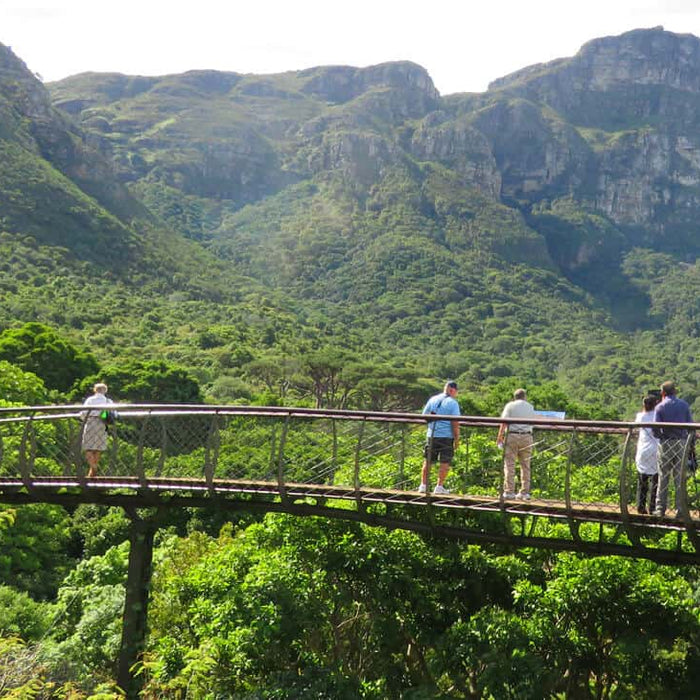 Gardens Of The Western Cape