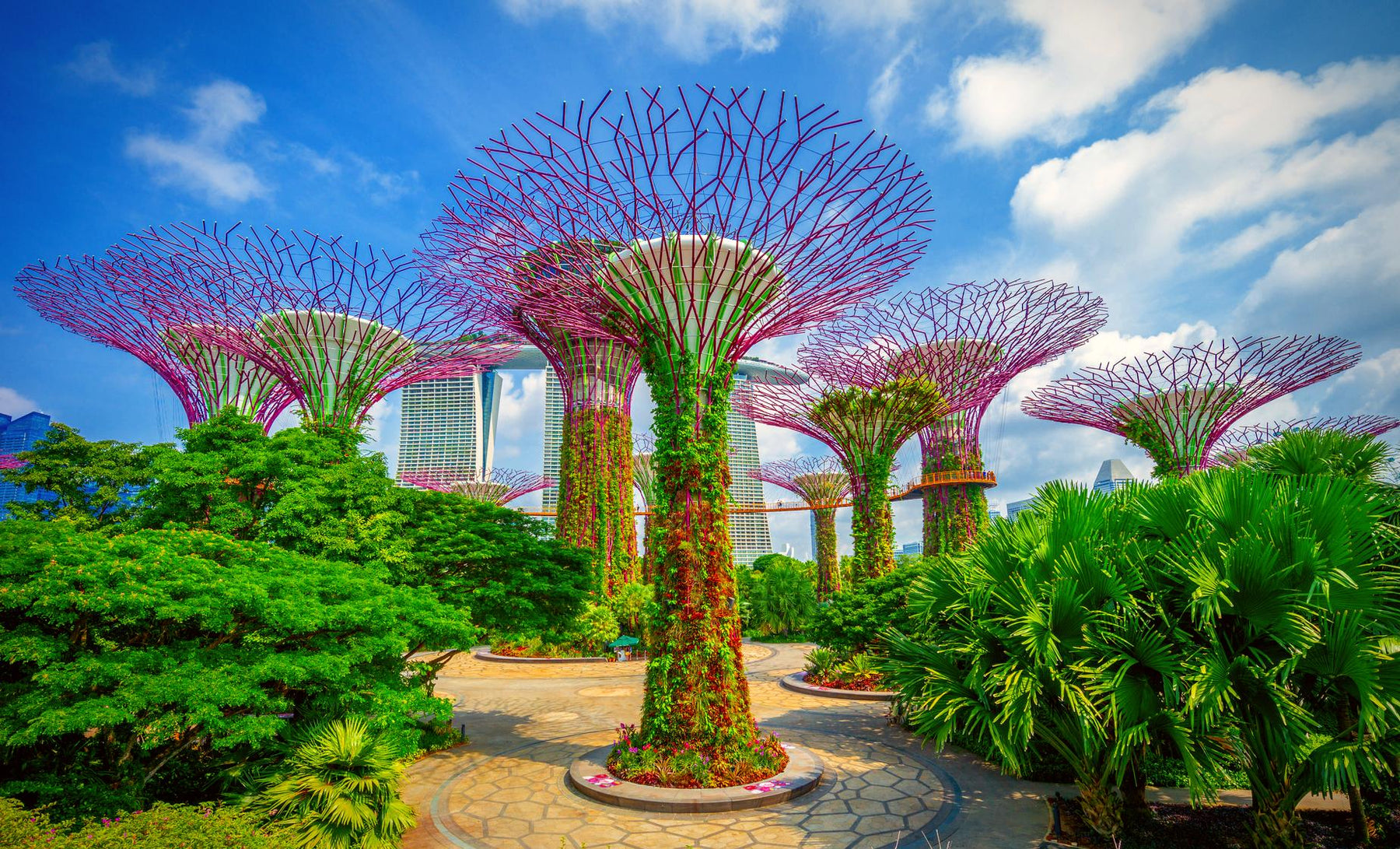 Gardens Of The World: Singapore