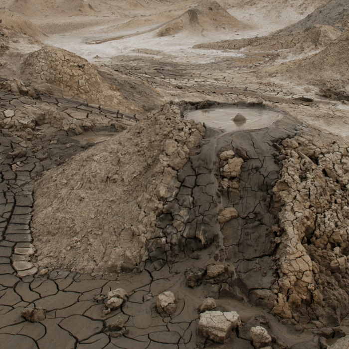 Soil erosion control plants kzn garden landscaping solutions