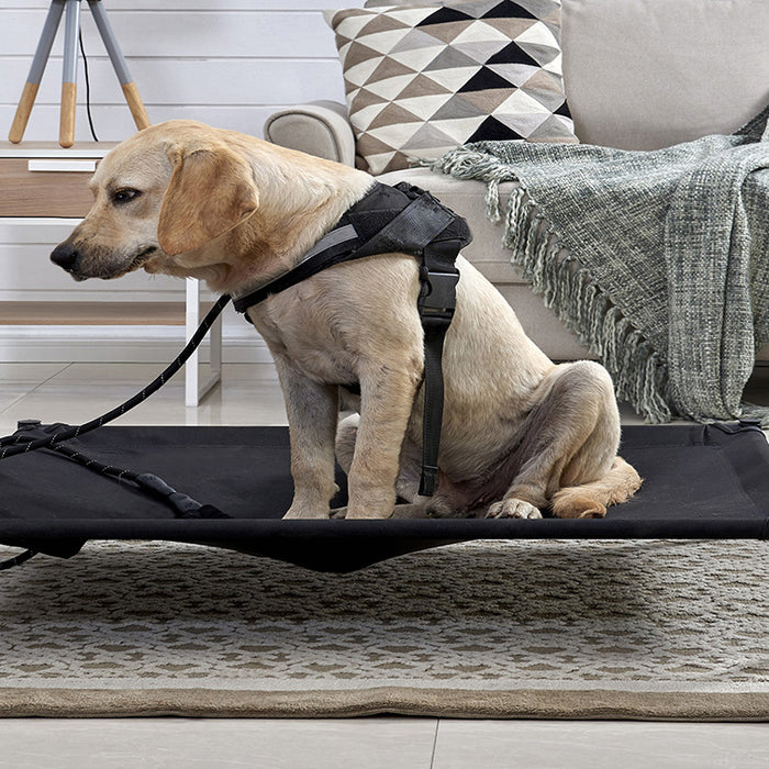 Let Sleeping Dogs Lie - Elevated Pet Bed