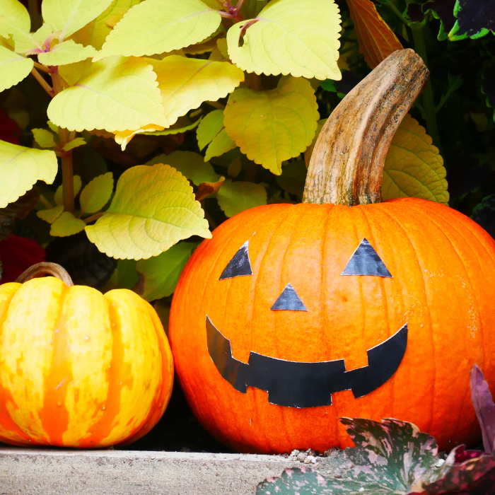 DIY Halloween Garden Decor Ideas