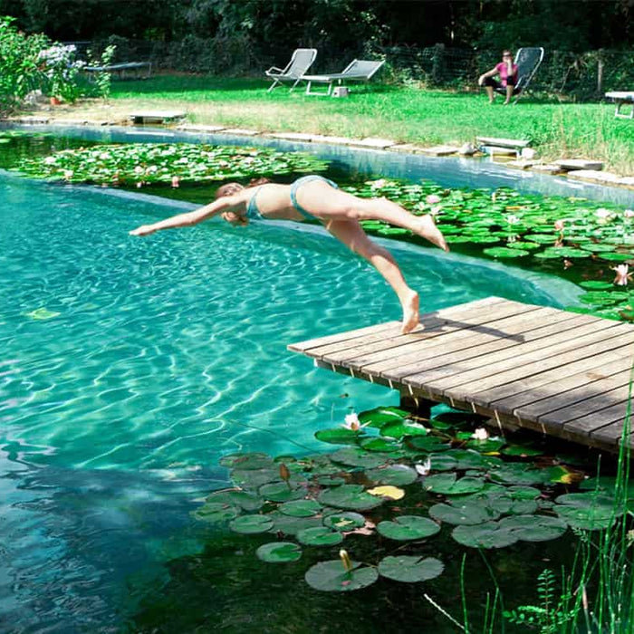 Natural Swimming Pools