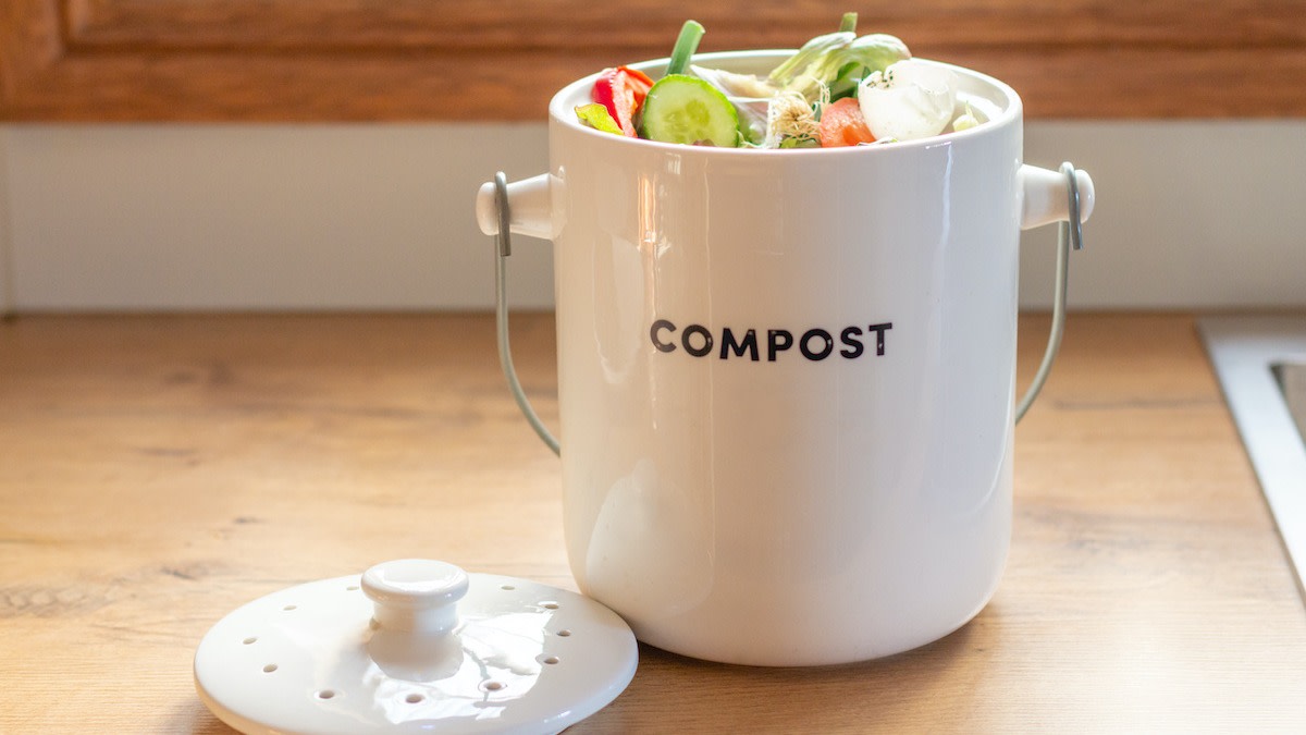 Composting for Beginners