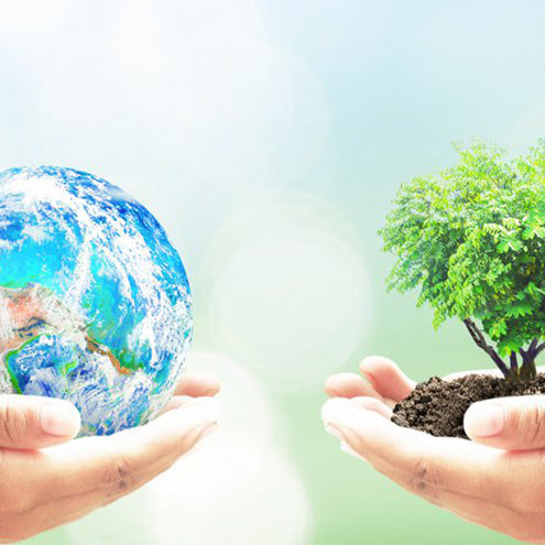 Trees Are Life | The Power and Beauty of Nature