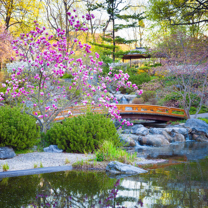 Gardens Of The World – Japan