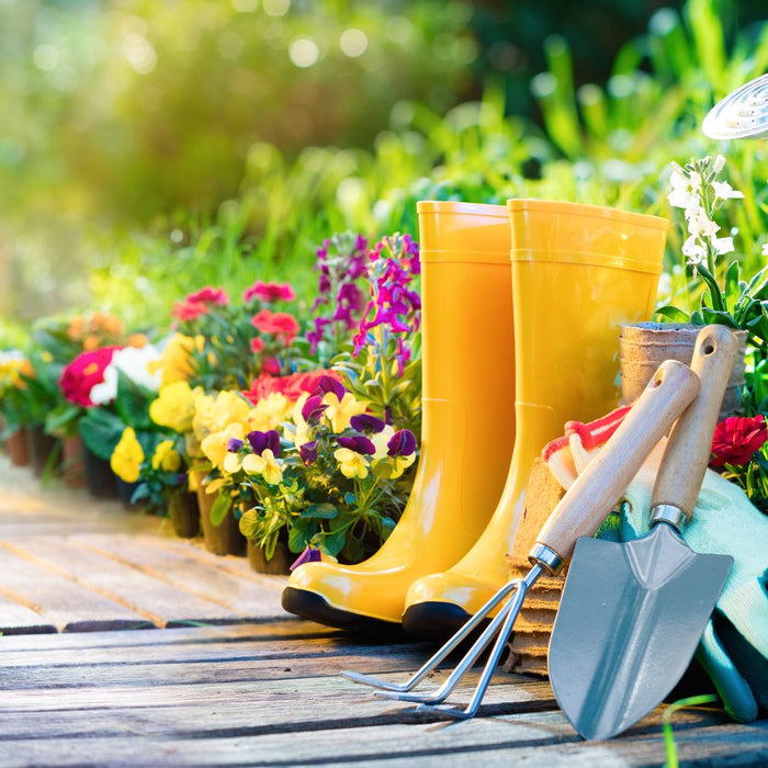 5 New Year Resolutions for Your Home and Garden