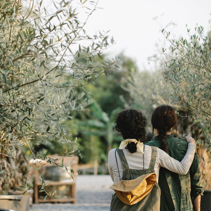 Vegetable Gardening Tips For Beginners