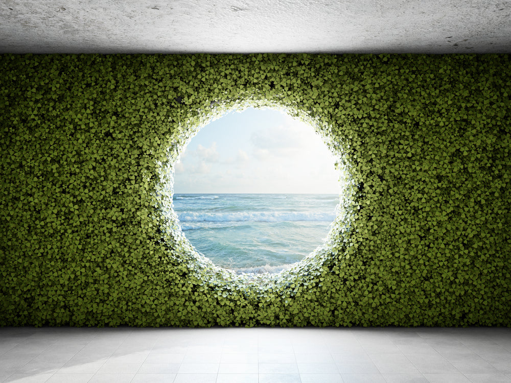 Vertical Gardens: Grow Up