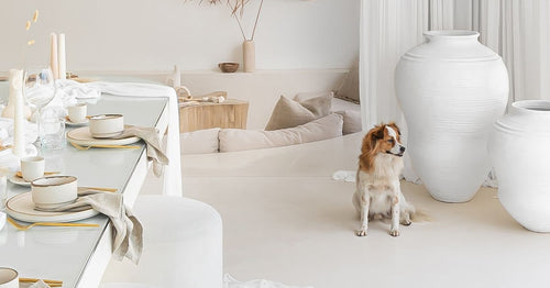 Our promotions are regularly updated with fresh discounts and exclusive offers you won’t want to miss.