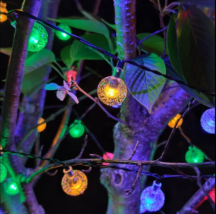 String lights hanging among tree branches with a dark background