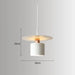 Pendant light with dimensions on a gray background