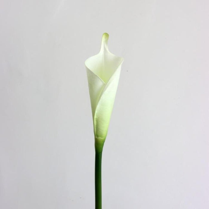 Artificial Flower Calla Lily - Creative Living